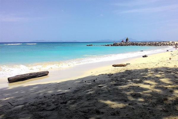 permandangan di pantai di siyang hari di posisi bawah pohon kayu di pinggir pantai